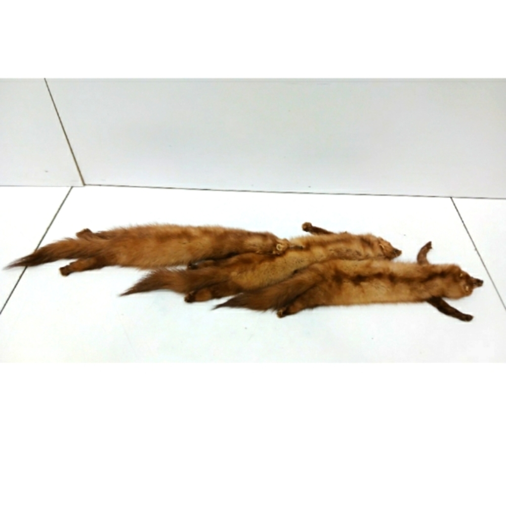 1940's Vintage Fur Scarf/ Stole
